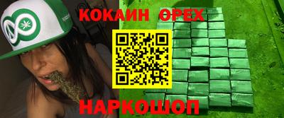 тгк Будённовск