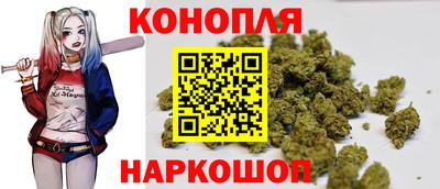 тгк Будённовск