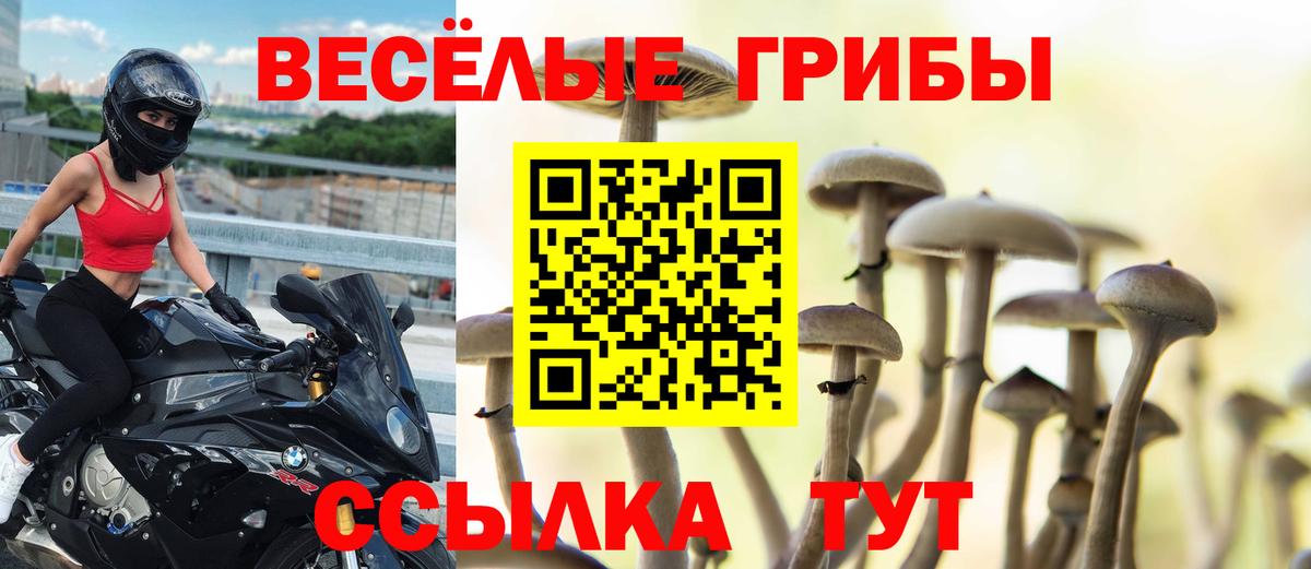 Псилоцибиновые грибы GOLDEN TEACHER  Вход с VPN  Псилоцибиновые грибы Psilocybine cubensis  дарнет шоп  Сочи 