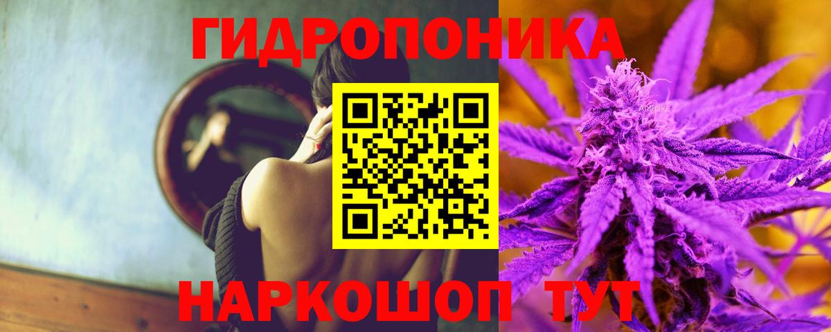 МАРИХУАНА сатива Сочи